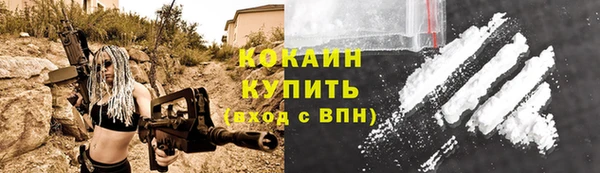 гидра Кинешма