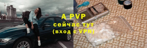 гидра Кинешма