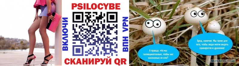 darknet клад  Краснокамск  Галлюциногенные грибы Psilocybe  блэк спрут ССЫЛКА 