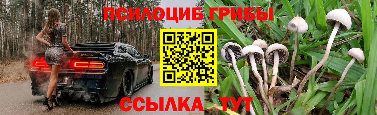 Псилоцибиновые грибы Cubensis  наркотики  Краснокамск  Вход с VPN 