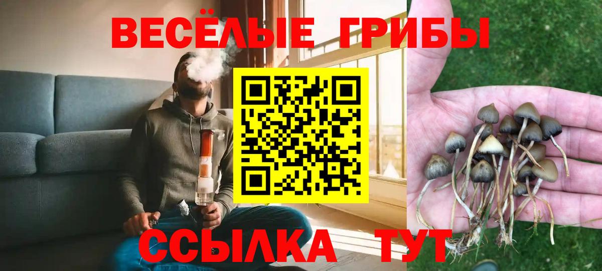Галлюциногенные грибы прущие грибы Краснокамск